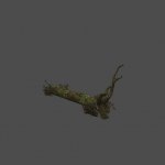 hl2_arbrefallen01