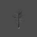 jb_austria_tree_dead_snow