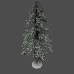 snowtree01