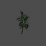tree02