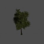 tree04