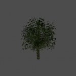 tree10