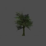 tree18