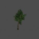 tree19
