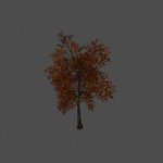 tree21