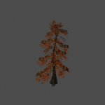 tree22