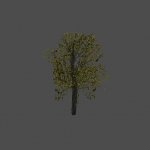 tree26