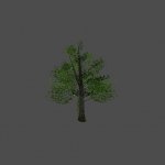 tree29