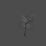 tree30