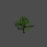 tree31