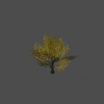 tree32