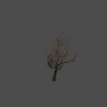 tree39