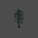 tree44