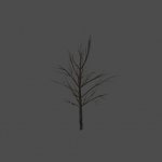 treetrunk
