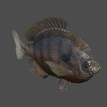 FishRiver01