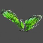 butterfly2