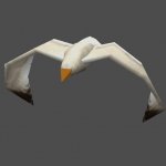 gull1
