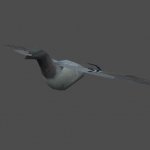 pwr3d_pigeon