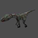 raptor