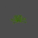 bush03