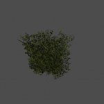 bush10