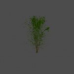 bush14