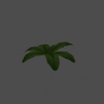 bush18
