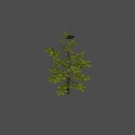 bush2