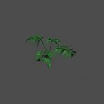 bush32