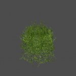 bush4