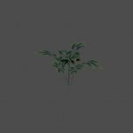 bush54