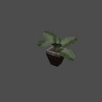 dnc_flower01