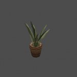 dnc_flower03