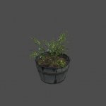 flower_barrel