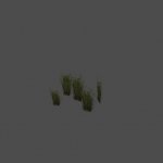grass10