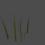 grass1a