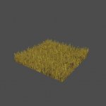 grass2