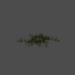 grass6