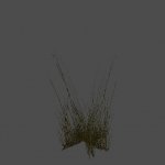 grass7