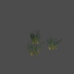grass9