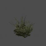 hl2_bush