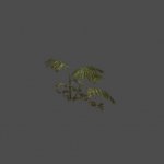 hl2_ferns02
