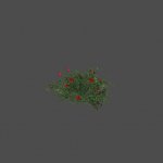 largebush04_ref