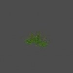 largebush06_ref