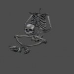 skeleton_meat