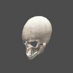 skull_a