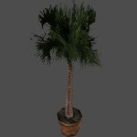 jrx_potplant1.rar