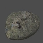zps_forestrock