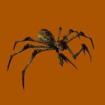 Spider Mutant