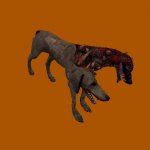 RE5 Majini Dog